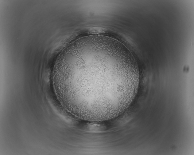 X0000111030315200906251311