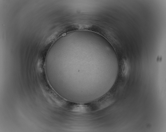 X0000111030316200906251311