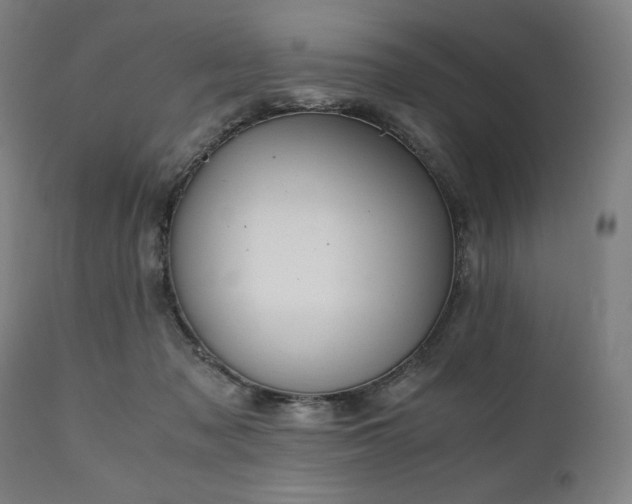 X0000111030317200906251311