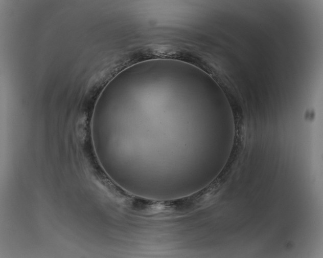 X0000111030319200906251311