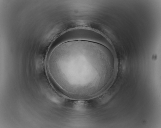 X0000111030320200906251311