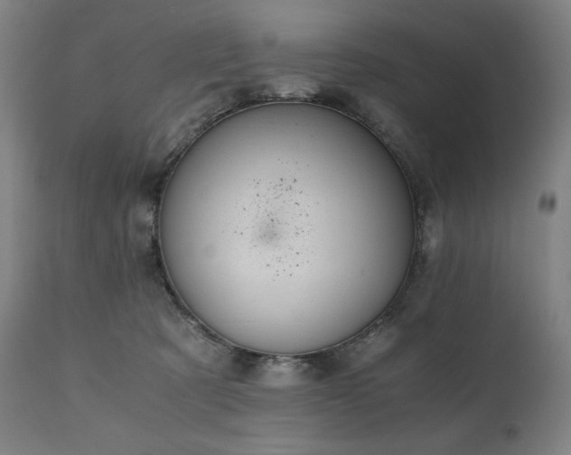 X0000111030321200906251311