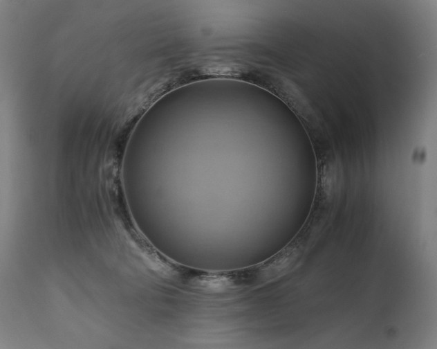 X0000111030322200906251311