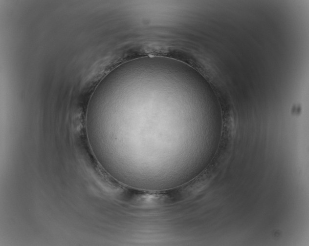 X0000111030323200906251311