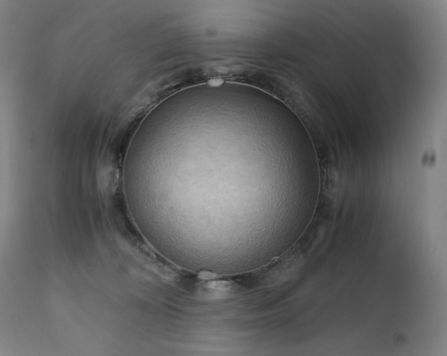 X0000111030324200906251311
