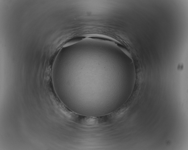 X0000111030325200906251311