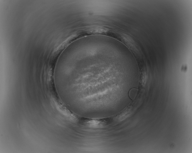 X0000111030326200906251311
