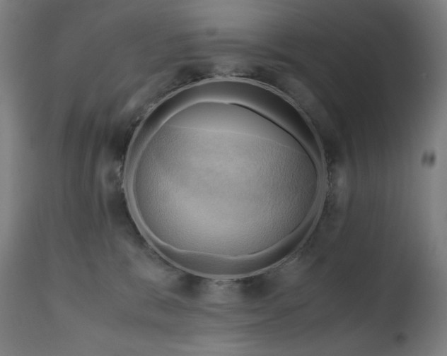 X0000111030327200906251311