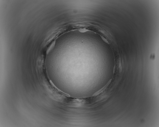 X0000111030328200906251311