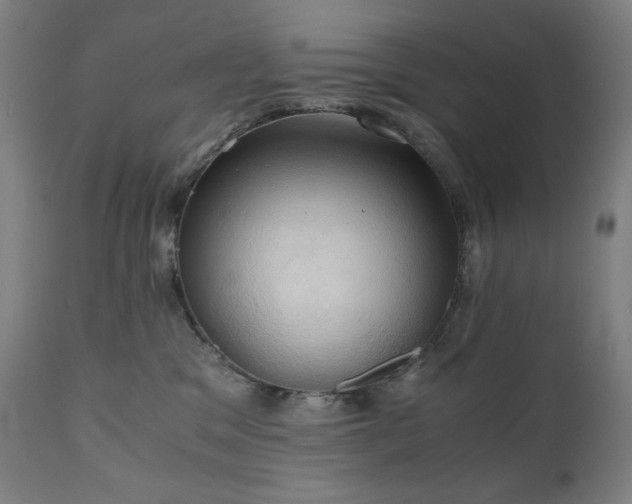 X0000111030329200906251311