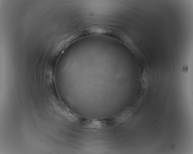 X0000111030330200906251311