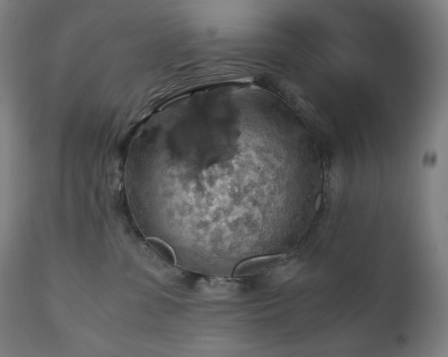X0000111030331200906251311