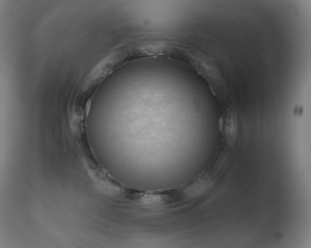 X0000111030332200906251311