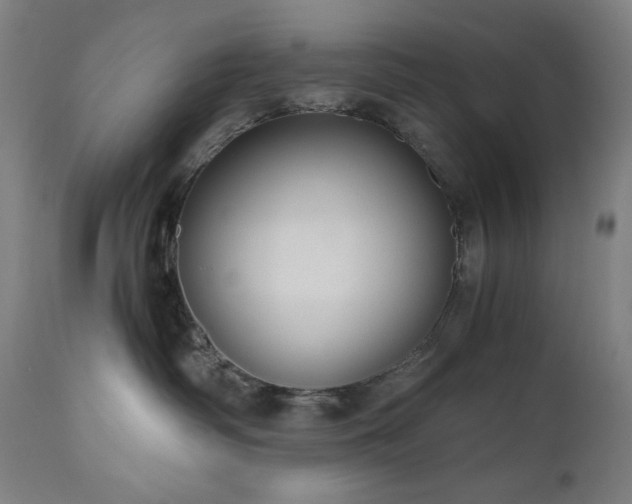 X0000111030334200906251311