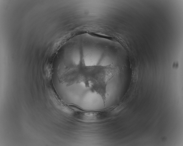 X0000111030335200906251311