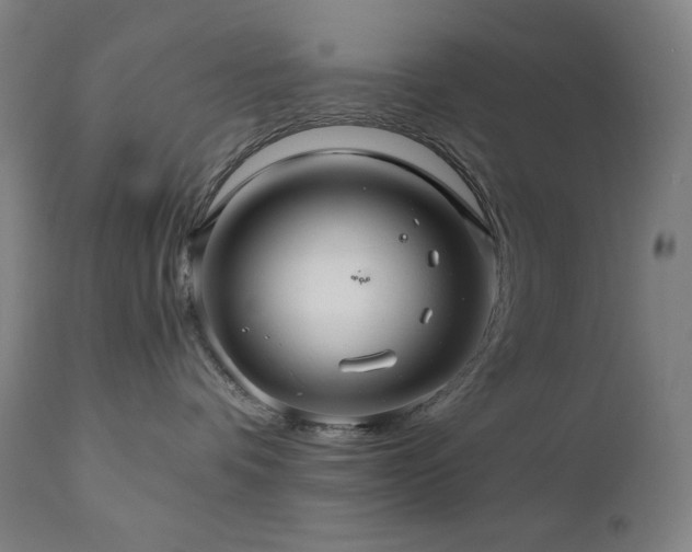X0000111030336200906251311