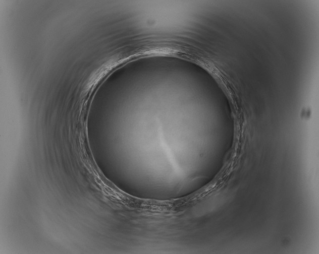 X0000111030337200906251310