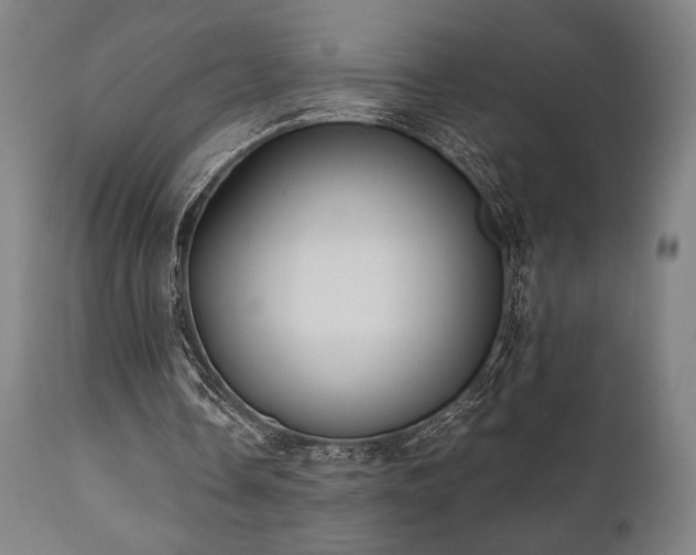 X0000111030338200906251310