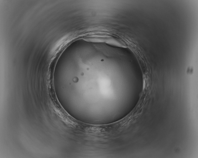 X0000111030339200906251310