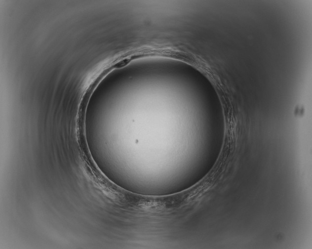 X0000111030340200906251310