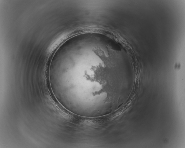 X0000111030341200906251310