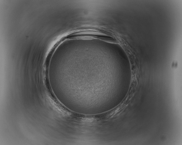 X0000111030342200906251310