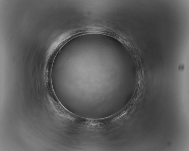 X0000111030343200906251310