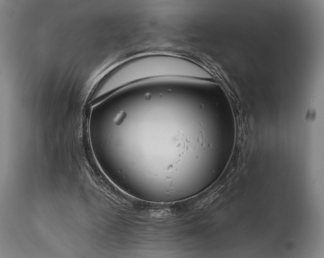 X0000111030344200906251310