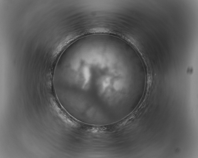 X0000111030345200906251310