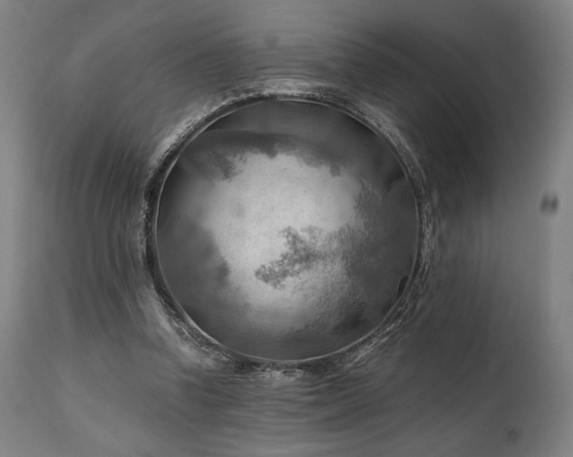 X0000111030346200906251310