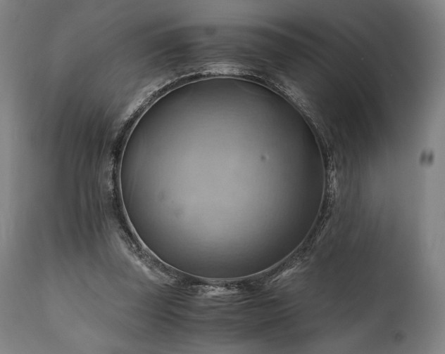 X0000111030347200906251310