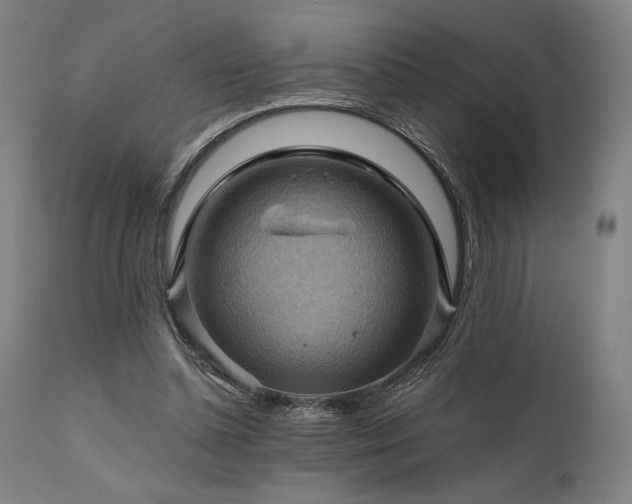 X0000111030348200906251310