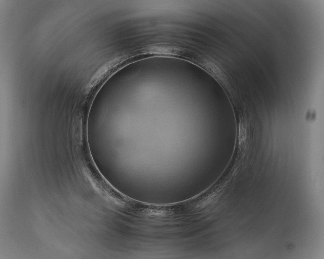 X0000111030349200906251310