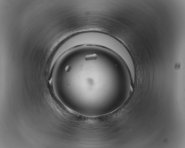 X0000111030350200906251310