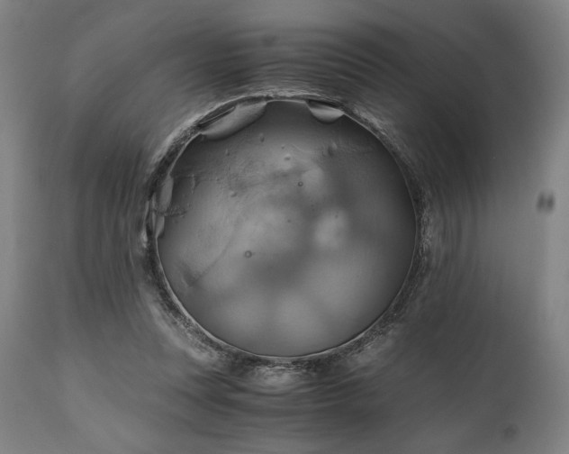 X0000111030351200906251310
