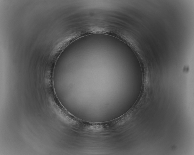 X0000111030353200906251310