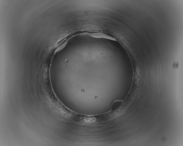 X0000111030355200906251310