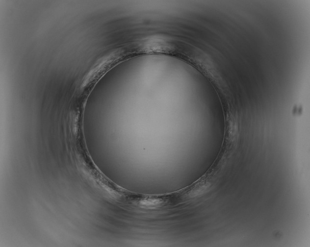 X0000111030357200906251310