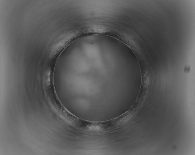 X0000111030358200906251310