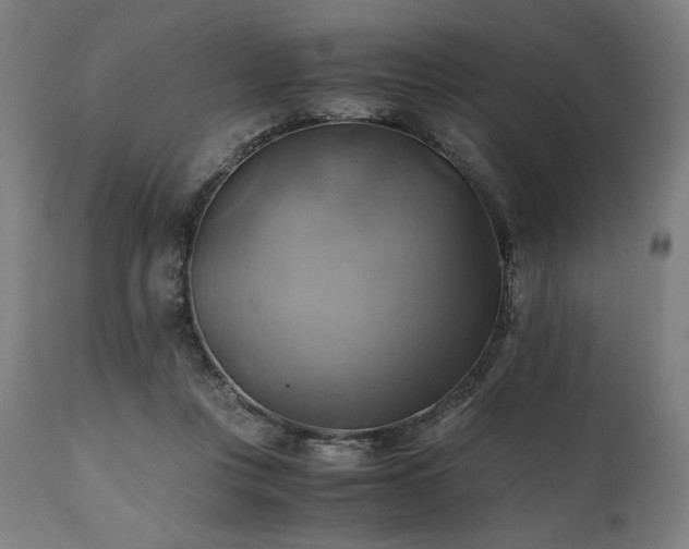 X0000111030359200906251310