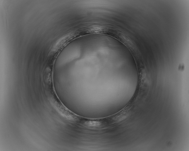 X0000111030361200906251310