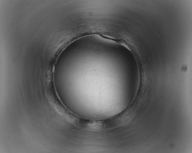 X0000111030362200906251310