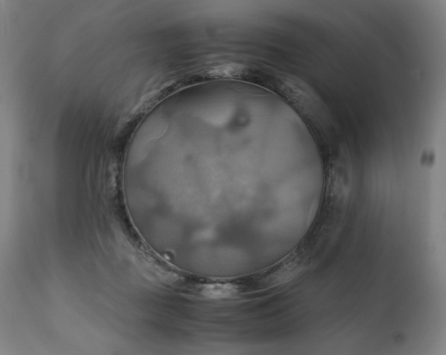 X0000111030363200906251310