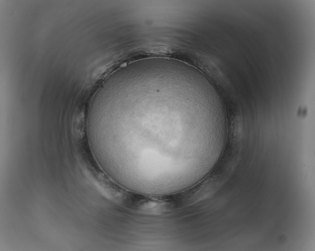 X0000111030364200906251310