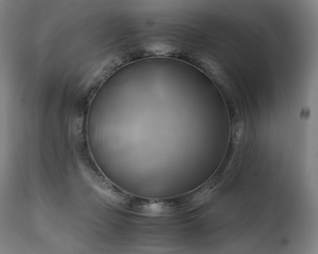 X0000111030365200906251310