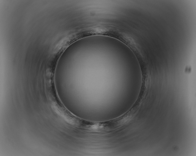 X0000111030366200906251310