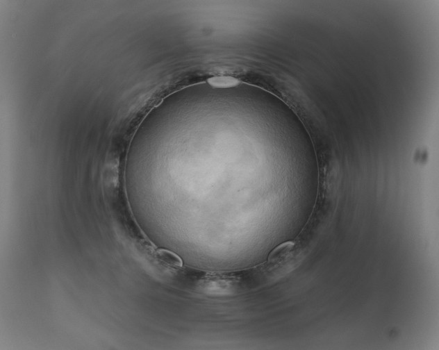 X0000111030368200906251310
