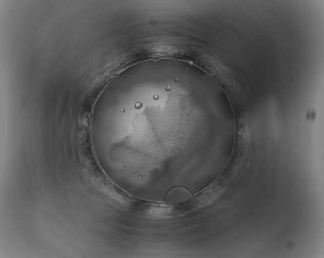 X0000111030369200906251310