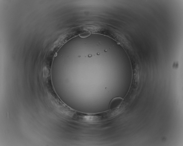 X0000111030371200906251310