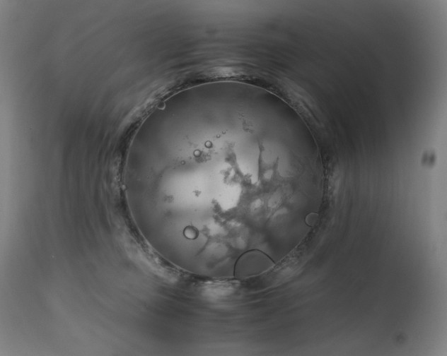 X0000111030373200906251311